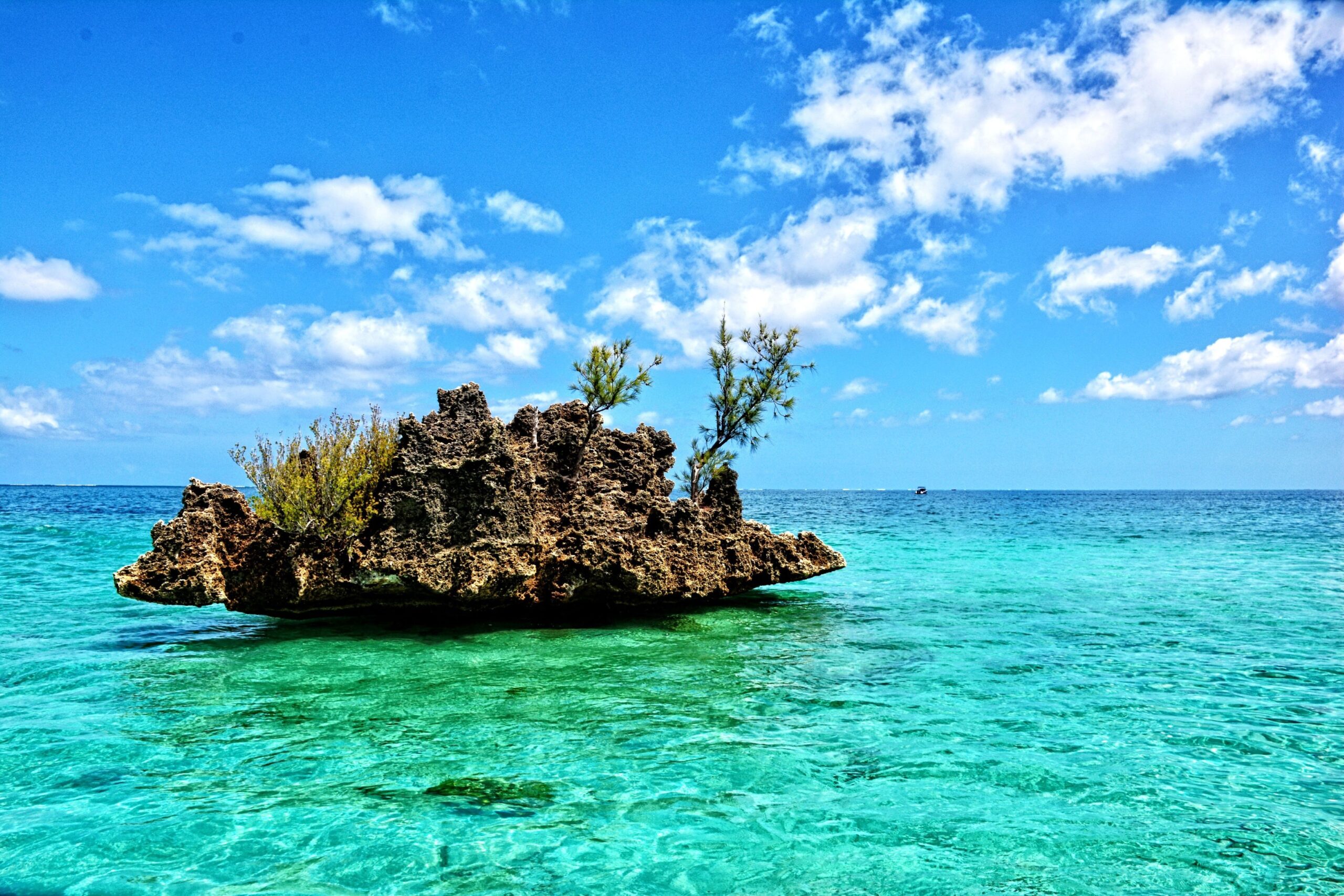 bg62-island-4471208_klein